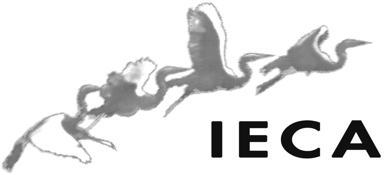 Logo IECA